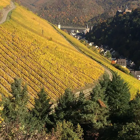 Guest house Zur Fledermaus