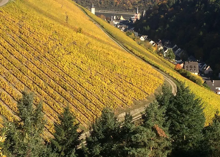 Casa de hóspedes Zur Fledermaus